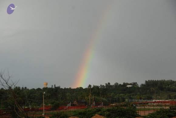 20100717_Photo_1026_DSC_2029_CMP_WM