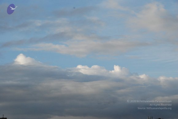 20100717_Photo_1038_DSC_2035_CMP_WM