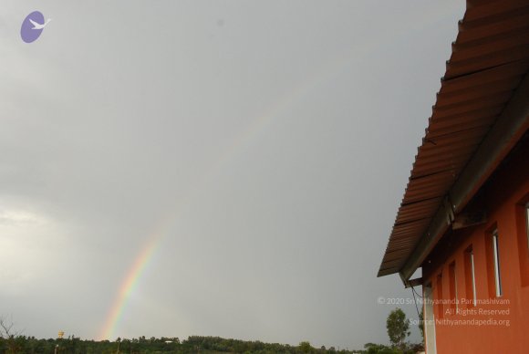 20100717_Photo_1098_DSC_2037_CMP_WM