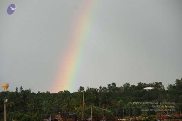 20100717_Photo_1112_DSC_2032_CMP_WM