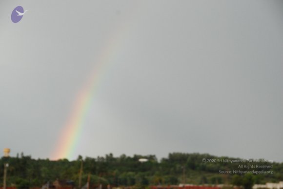 20100717_Photo_1163_DSC_2031_CMP_WM