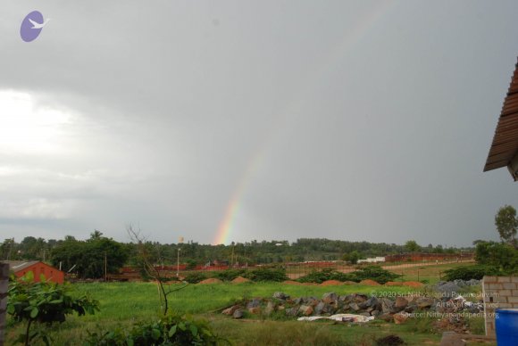 20100717_Photo_1209_DSC_2028_CMP_WM