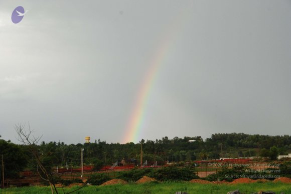 20100717_Photo_1219_DSC_2034_CMP_WM