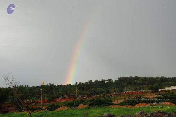 20100717_Photo_1227_DSC_2033_CMP_WM