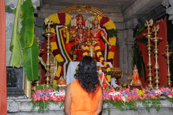 20100725_Photo_1026_DSC_0427_CMP_WM