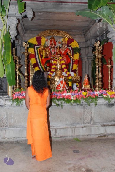 20100725_Photo_1027_DSC_0428_CMP_WM