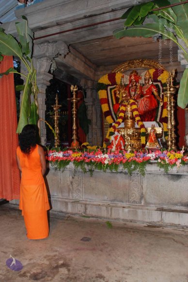 20100725_Photo_1028_DSC_0429_CMP_WM