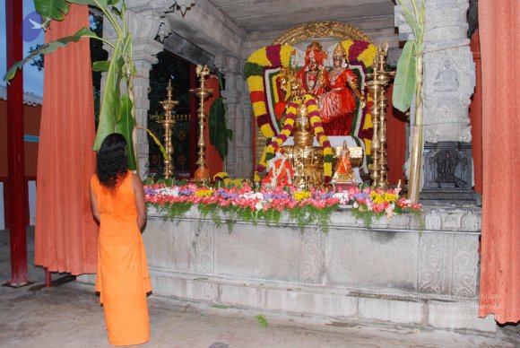 20100725_Photo_1029_DSC_0430_CMP_WM