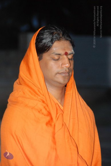 20100725_Photo_1046_DSC_0377_CMP_WM