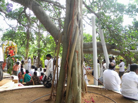 20100725_Photo_1012_DSCN4547_CMP_WM