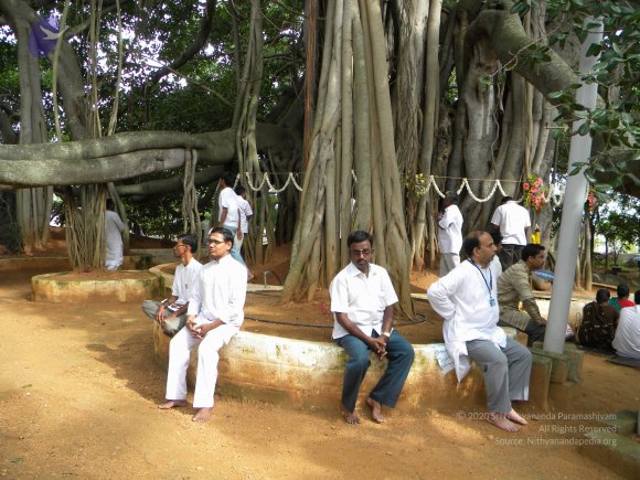 20100725_Photo_1016_DSCN4551_CMP_WM