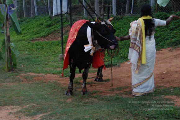 20100725_Photo_1034_DSC_0457_CMP_WM