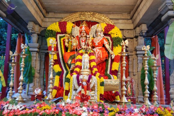 20100725_Photo_1001_DSC_3882_CMP_WM