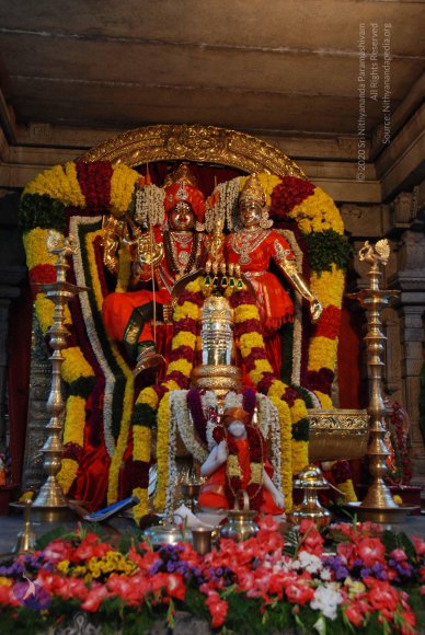 20100725_Photo_1003_DSC_3884_CMP_WM