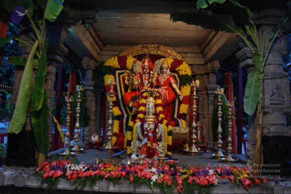 20100725_Photo_1008_DSC_3889_CMP_WM