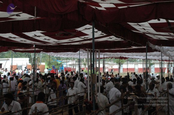 20100725_Photo_1833_DSC_2337_CMP_WM