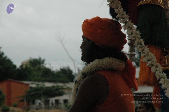 20100725_Photo_2259_DSC_2648_CMP_WM