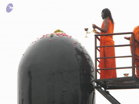 20100725_Photo_1041_DSCN4423_CMP_WM