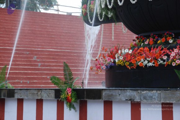 20100725_Photo_1191_DSC_0515_CMP_WM