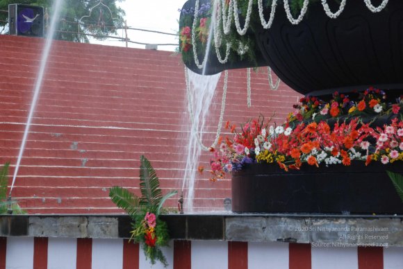 20100725_Photo_1192_DSC_0516_CMP_WM