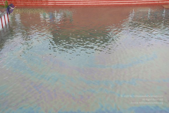 20100725_Photo_1226_DSC_0550_CMP_WM