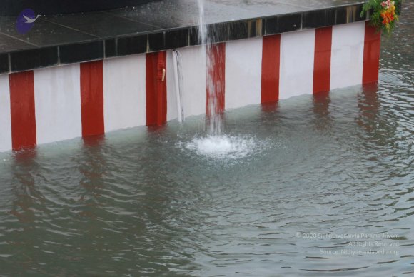 20100725_Photo_1288_DSC_0618_CMP_WM