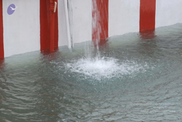 20100725_Photo_1289_DSC_0619_CMP_WM