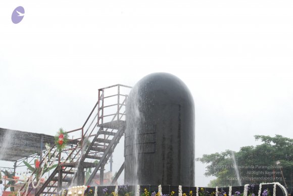 20100725_Photo_1292_DSC_0622_CMP_WM