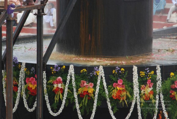 20100725_Photo_1518_DSC_0862_CMP_WM