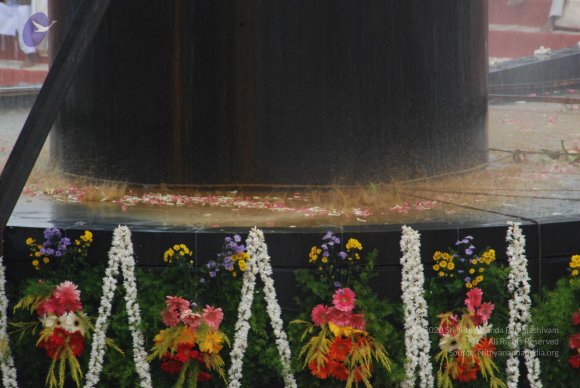 20100725_Photo_1519_DSC_0863_CMP_WM