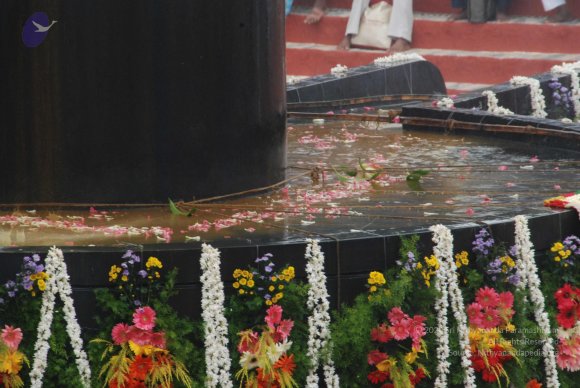 20100725_Photo_1520_DSC_0864_CMP_WM