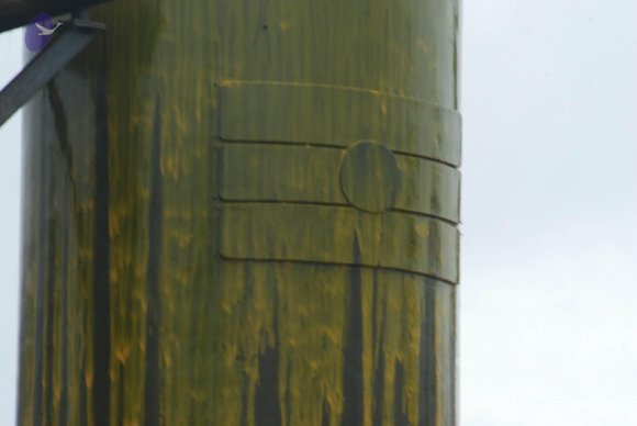 20100725_Photo_1535_DSC_0879_CMP_WM