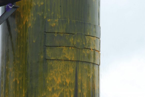 20100725_Photo_1537_DSC_0881_CMP_WM