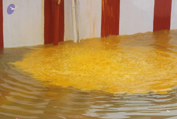 20100725_Photo_1566_DSC_0911_CMP_WM