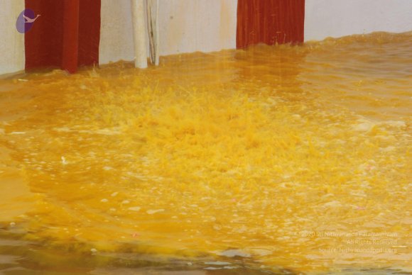 20100725_Photo_1567_DSC_0912_CMP_WM