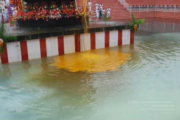 20100725_Photo_1572_DSC_0917_CMP_WM