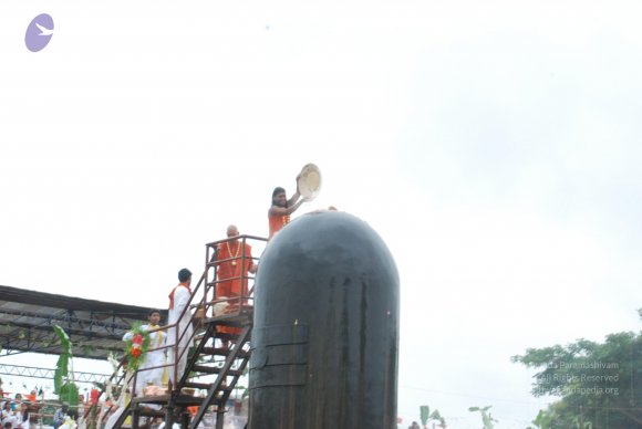 20100725_Photo_1597_DSC_0943_CMP_WM