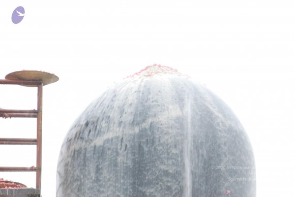 20100725_Photo_1670_DSC_1021_CMP_WM