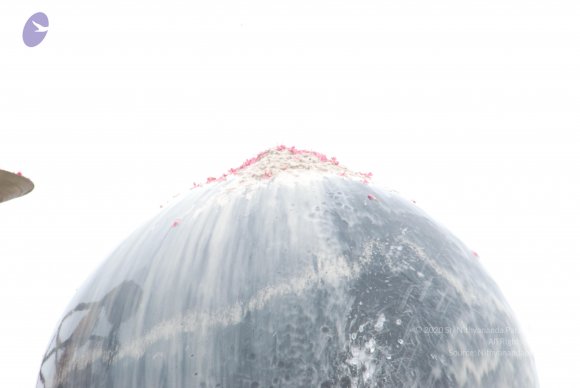 20100725_Photo_1672_DSC_1023_CMP_WM