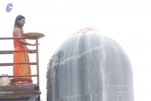 20100725_Photo_1683_DSC_1034_CMP_WM