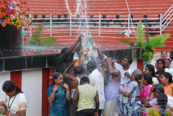 20100725_Photo_1079_DSC_1253_CMP_WM