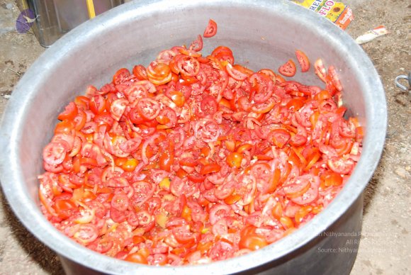 20100725_Photo_1005_DSC_1441_CMP_WM