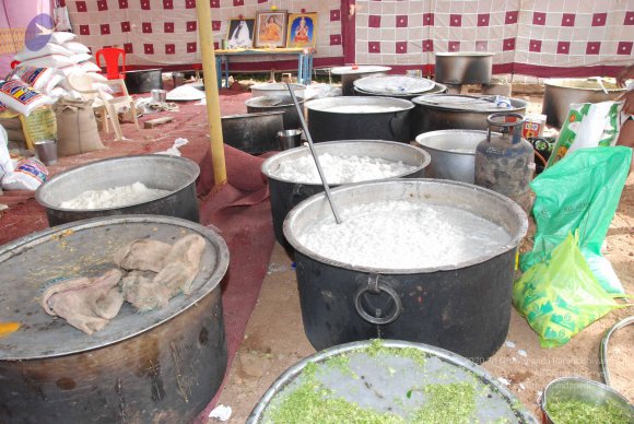 20100725_Photo_1008_DSC_1444_CMP_WM