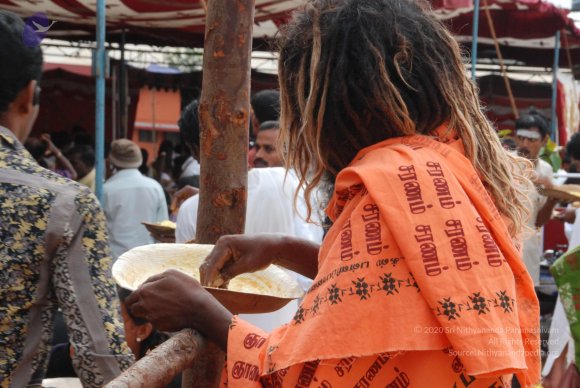 20100725_Photo_1012_DSC_1386_CMP_WM