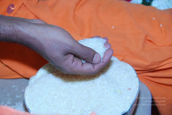 20100725_Photo_1035_DSC_3576_CMP_WM