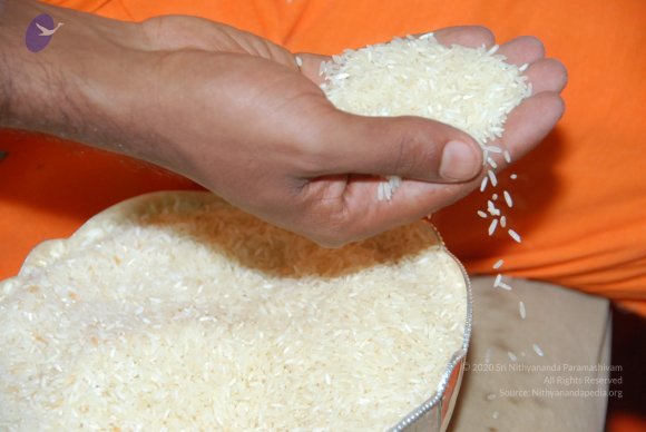 20100725_Photo_1060_DSC_3634_CMP_WM