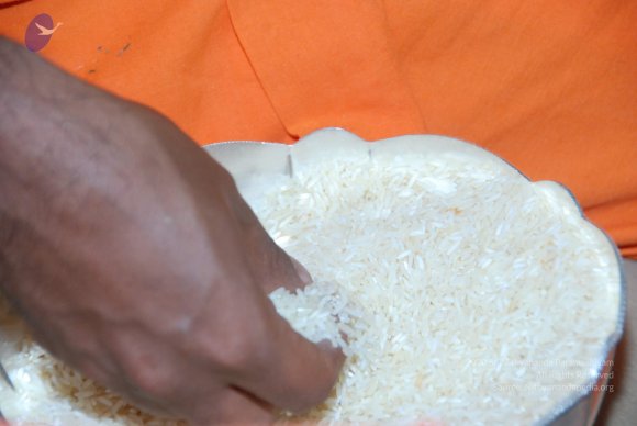 20100725_Photo_1062_DSC_3638_CMP_WM