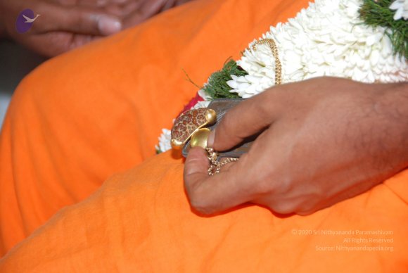 20100725_Photo_1091_DSC_3682_CMP_WM