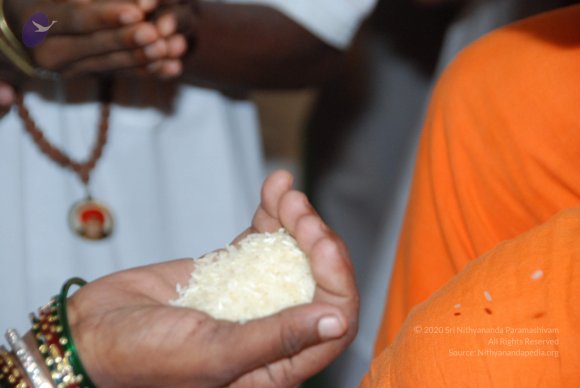 20100725_Photo_1098_DSC_3689_CMP_WM