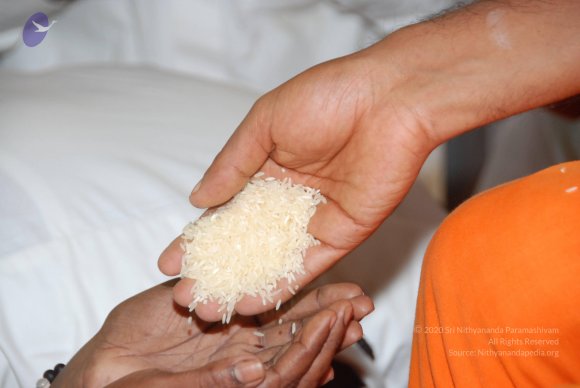 20100725_Photo_1107_DSC_3701_CMP_WM